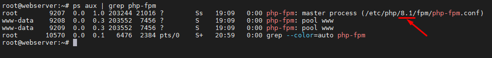 05-see-the-php-version-sudo-ps-aux-grep-php-fpm - Roosho.