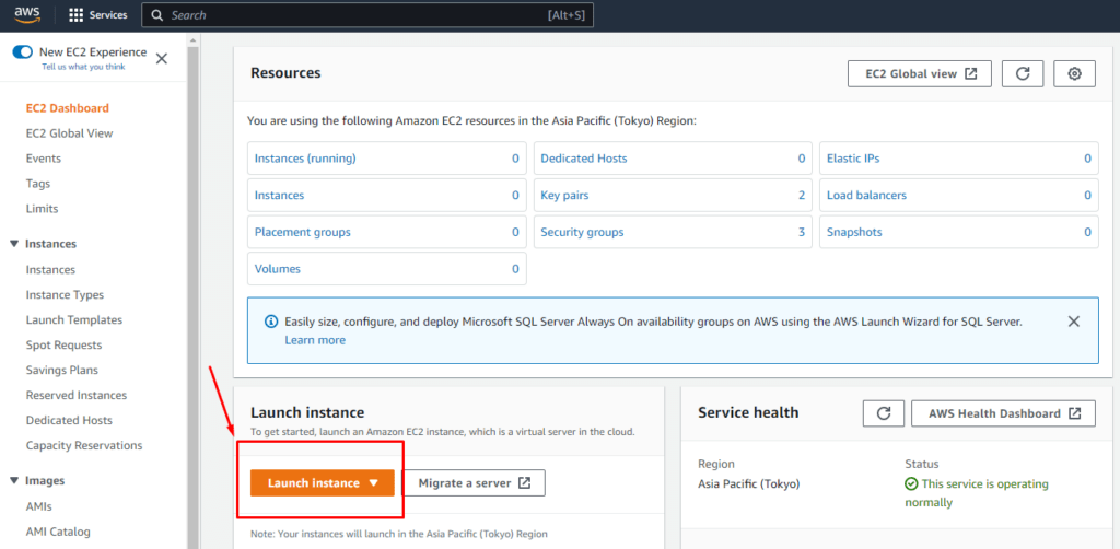 02-launch-instance - Roosho.