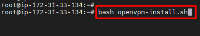 Execute the openvpn-install.sh script using bash openvpn-install.sh on your ssh client