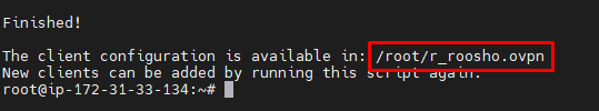 07-you-will-already-see-your-OVPN-file - Get the configuration file to use in OpenVPN Connect