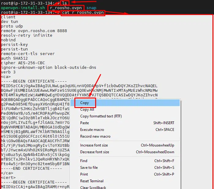 08-get-your-OVPN-file-content -
