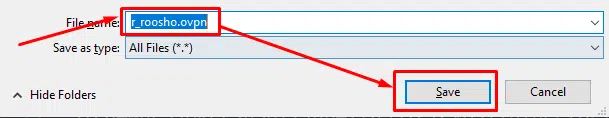 10-Save-it-with-OVPN-extension -