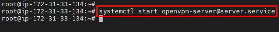 26-Start-your-OpenVPN-Service - Start your OpenVPN Service