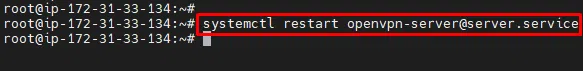 28-Restart-your-OpenVPN-Service -
