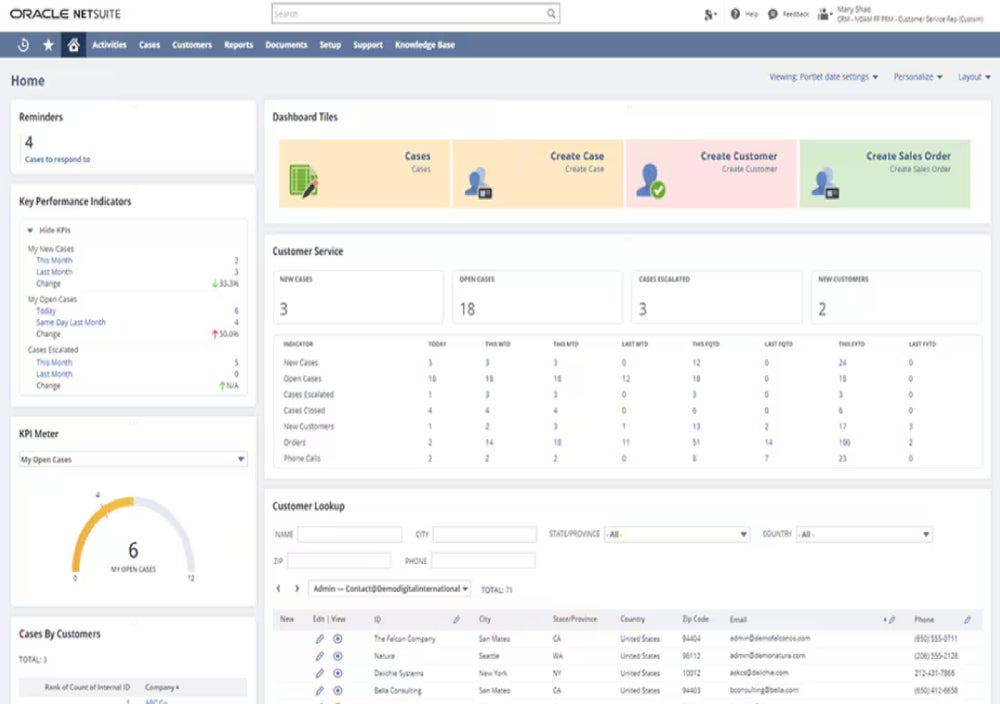 Sample Netsuite Crm Support Dashboard.