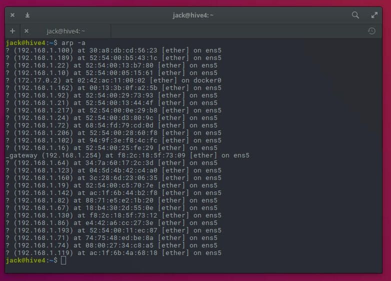 the Arp -a Command in Action.