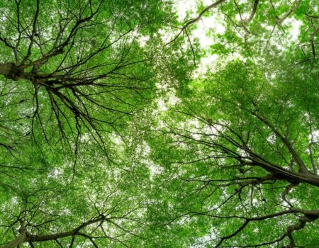 How Your Business Can Benefit from an Environmental Policy
